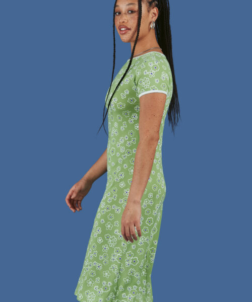 Alternative view of Dazey Dress