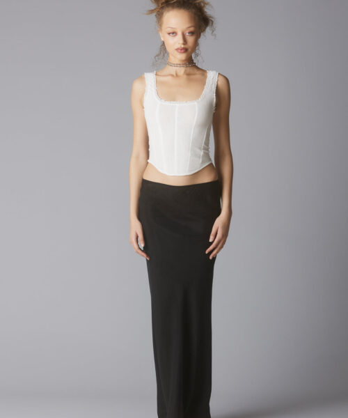 Alternative view of raim-top-white