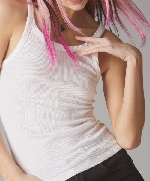 Alternative view of staple-rib-tank